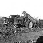 Beet Loader